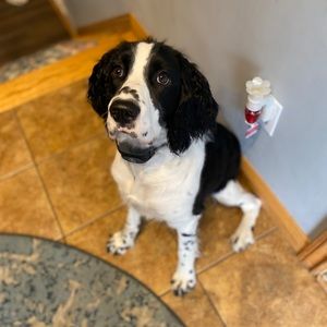 Meet your Posher, Jon